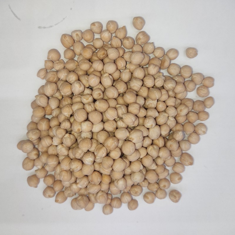 Chickpeas Safed Chana Mote موٹے سفید چنے