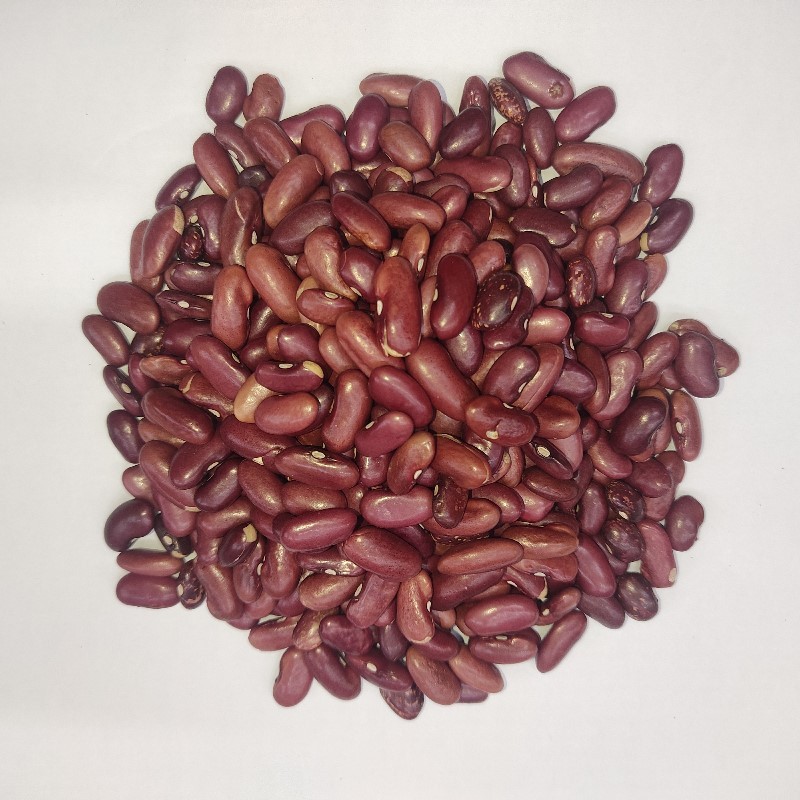 Lobia Surkh لال لوبیہ Kidney Beans Red