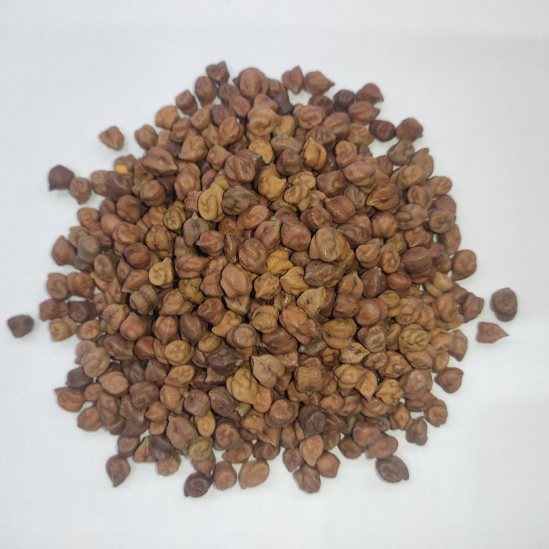 Black Chana کالے چنے