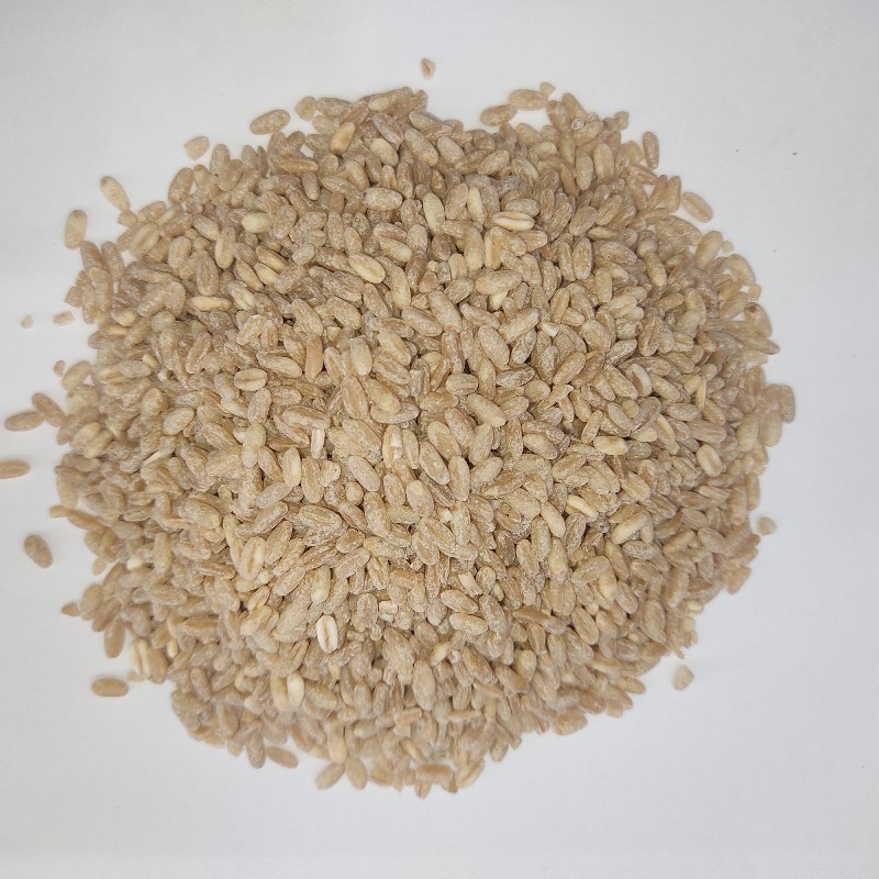 Gandum گندم Whole Wheat