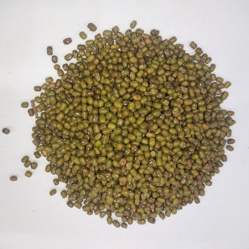 Mong Sabut ثابت مونگ